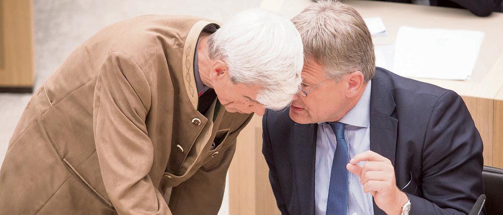 Jörg Meuthen (r), Fraktionschef der Alternative für Deutschland (AfD) in Baden-Württemberg, spricht mit Wolfgang Gedeon.