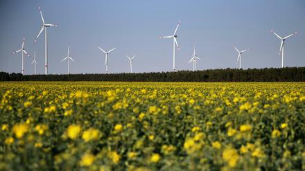 Zum Klimaschutzplan 2050 passt die EEG-Novelle nicht. 