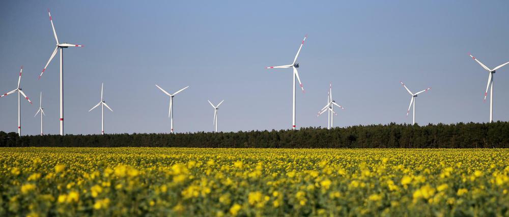 Zum Klimaschutzplan 2050 passt die EEG-Novelle nicht.