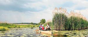 Ganz weit draußen. Den Krach der Stadt tauscht man im Nationalpark Unteres Oderland gegen den Ruf des Kuckucks.