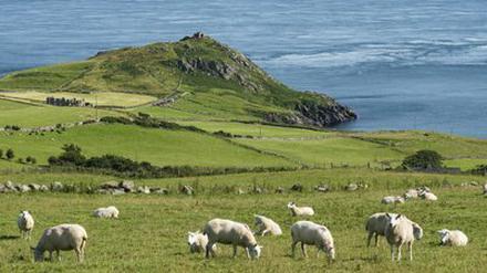 Irland zieht wegen niedriger Steuern immer mehr Firmen an.