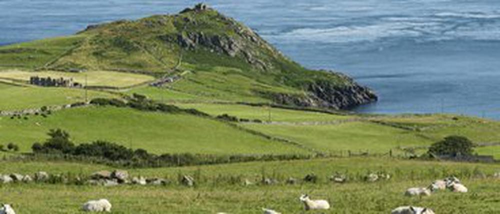 Irland zieht wegen niedriger Steuern immer mehr Firmen an.