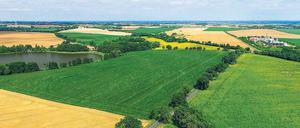 Neue Ordnung braucht das Land. Wie auf dem Reißbrett geplant sieht diese Feldlandschaft bei Schönfließ nahe Frankfurt (Oder) aus. 