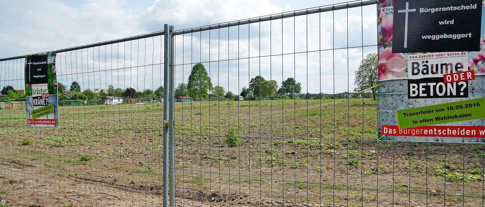 So etwas soll sich nicht wiederholen. In der Kolonie Oeynhausen mussten viele Kleingärten einem Wohnungsbauprojekt weichen.