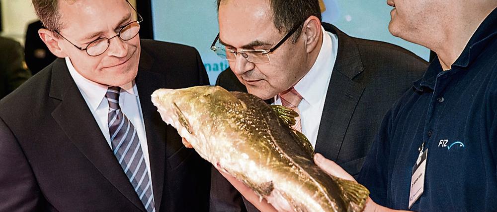 Ist der Fisch frisch? Agrarminister Christian Schmidt (in der Mitte) und Berlins Regierender Bürgermeister Michael Müller halten die Nasen dran auf der Grünen Woche.