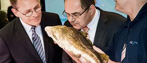 Ist der Fisch frisch? Agrarminister Christian Schmidt (in der Mitte) und Berlins Regierender Bürgermeister Michael Müller halten die Nasen dran auf der Grünen Woche.