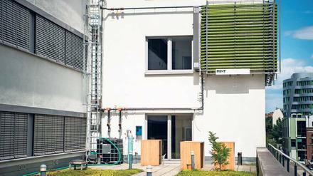 Nützliche Fassade. Der Photobioreaktor in Schöneberg enthält 1200 Liter Wasser, in dem Algen wachsen. Gefüttert werden sie mit Kohlendioxid und Dünger. Alle zwei Wochen wird geerntet.
