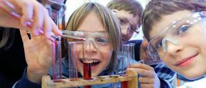 335.000 Students attend schools in Berlin. 1/3 of the students don't speak german as their mother-tongue. 