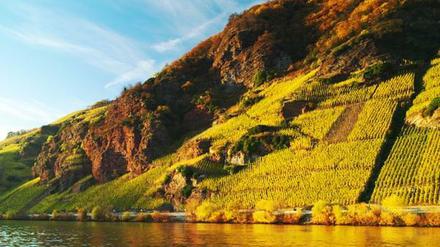 Beste Lage. Goldener Herbst am Erdener Prälat.