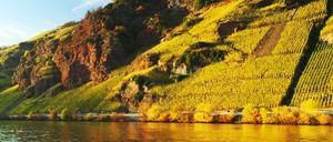 Beste Lage. Goldener Herbst am Erdener Prälat.