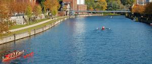 Die Spree an der Charlottenburger Mierendorff-Insel.