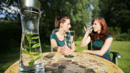 Stilles Wasser mit einem frischen Minzezweig.
