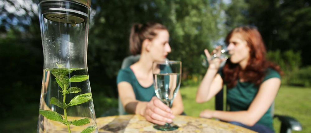 Stilles Wasser mit einem frischen Minzezweig.
