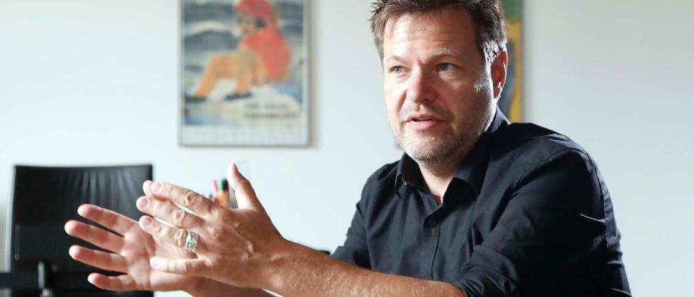 Robert Habeck ist seit 2012 Umweltminister und stellvertretender Ministerpräsident in Schleswig-Holstein. Der 46-Jährige will Spitzenkandidat der Grünen im Bund werden.