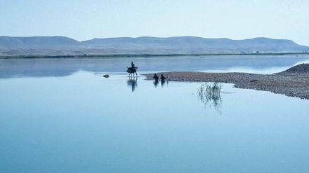 Mythos Euphrat. Bei As-Sandaliya hat Mohamad Al Roumi 1990 diese Wassersammlerin auf einem Esel fotografiert.