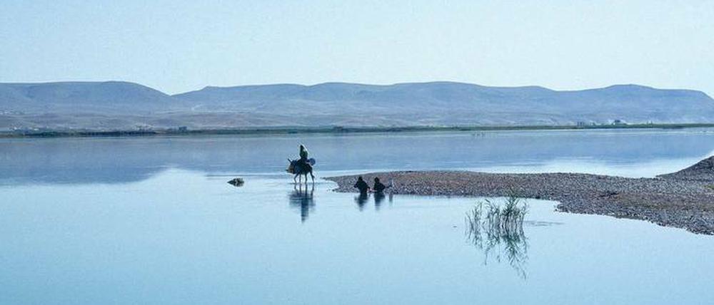 Mythos Euphrat. Bei As-Sandaliya hat Mohamad Al Roumi 1990 diese Wassersammlerin auf einem Esel fotografiert.