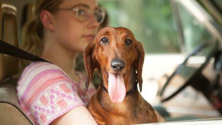 Schauspielerin Greta Gerwig als Dawn mit Dackel in einer Szene aus dem Film "Wiener Dog".