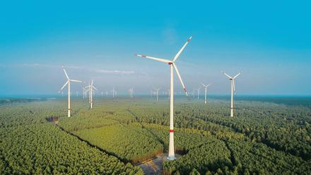 Auf in die Wälder. Auf Freiflächen wird der Platz knapp, nun sollen Windräder verstärkt in Wäldern errichtet werden. 