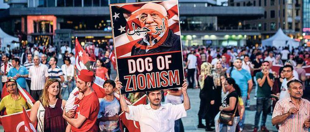 Aufgestachelt. Erdogan-Anhänger bei einer Demonstration gegen die Gülen-Bewegung in Istanbul.