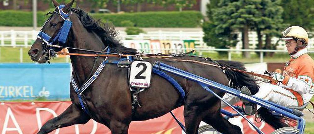 Michael Nimczyk wurde bereits fünfmal Deutscher Meister.