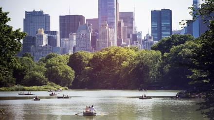 Romantischer geht's nicht: Rudern im Central Park.