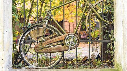 Schlecht geschützt: Wer sein Fahrrad nicht vernünftig anschließt, muss damit rechnen, dass sich Diebe bedienen. 