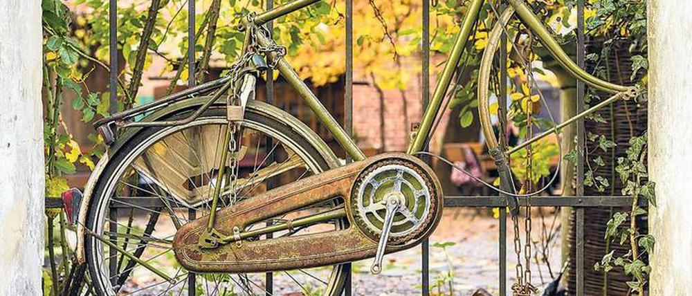 Schlecht geschützt: Wer sein Fahrrad nicht vernünftig anschließt, muss damit rechnen, dass sich Diebe bedienen.