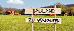 Eine Grundsteuer als Bodensteuer würde das spekulative Zurückhalten von Bauland verteuern.