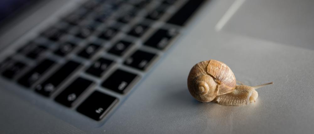 Eine Schnecke krabbelt über einen Laptop.