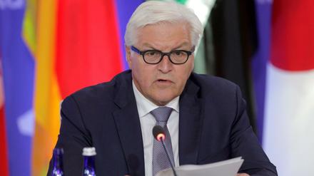 Außenminister Frank-Walter Steinmeier. 