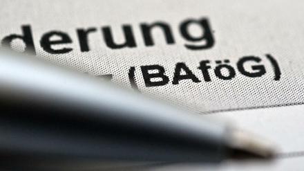Zum 1.August steigt die Bafög-Leistung für Schüler und Studenten um sieben Prozent.