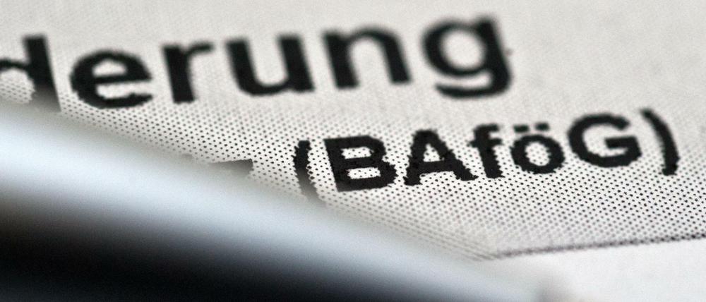 Zum 1.August steigt die Bafög-Leistung für Schüler und Studenten um sieben Prozent.