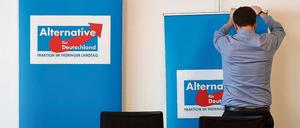 Den "Thüringer Weg" sucht die AfD-Fraktion in Erfurt. 