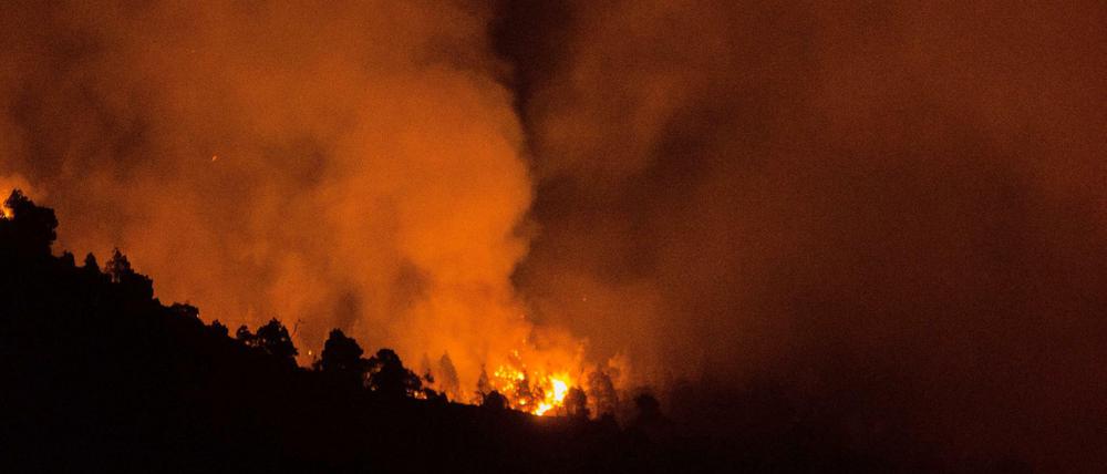 Waldbrand auf La Palma. Ein deutscher Aussteiger, der in einer Höhle lebt, hat ihn mit brennendem Toilettenpapier entfacht.
