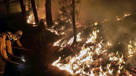 Ein Forstmitarbeiter kam in den Flammen auf La Palma ums Leben. 