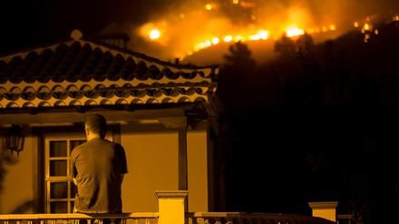 Hypnotisierend. Ein Mann blickt ins Feuer in Las Manchas. 