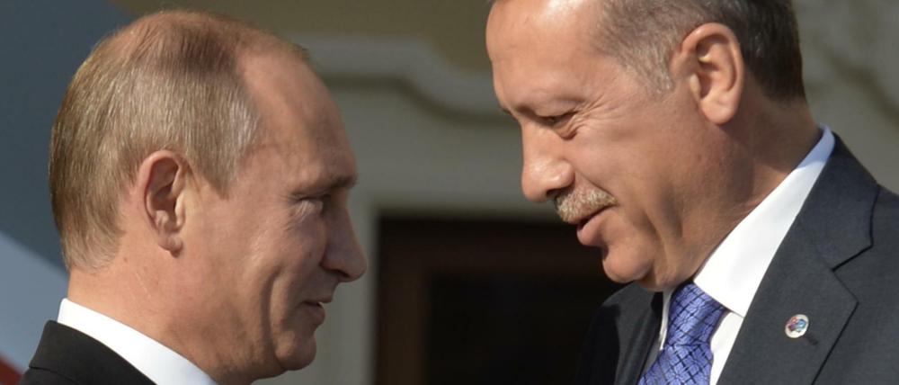 Wladimir Putin begrüßt Recep Tayyip Erdogan 2013 beim G20-Gipfel in St. Petersburg.