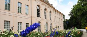 Das Schloss Schönhausen bekommt ein Besucherzentrum und ein festes Café.