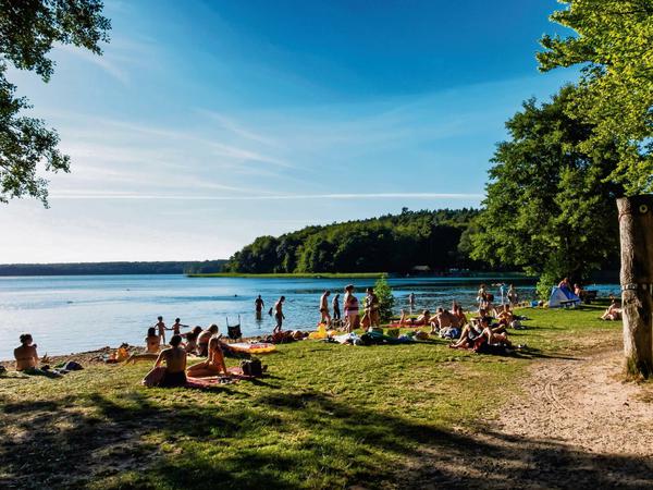 Baden? Klar! Der Große Stechlinsee ist nicht nur der tiefste Brandenburger See, sondern auch der mit dem klarsten Wasser.