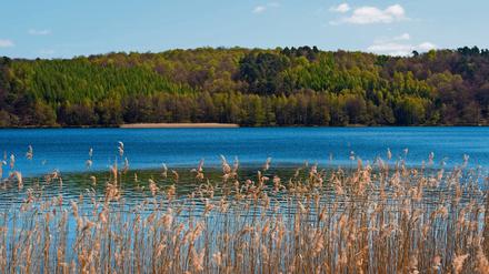 Ausflugsziel. Am Werbellinsee ist im Juni ein Mädchen während einer Klassenfahrt tödlich verunglückt.