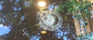 Kaputte Scheiben am Büro des SPD-Politiker Björn Eggert in der Oranienstraße in Kreuzberg.