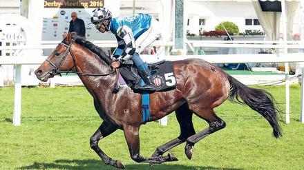 Siegesserie nach harter Zeit in Australien. Mit Jockey Eduardo Pedroza gewann Protectionist in diesem Jahr schon in Hamburg. 