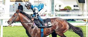 Siegesserie nach harter Zeit in Australien. Mit Jockey Eduardo Pedroza gewann Protectionist in diesem Jahr schon in Hamburg. 