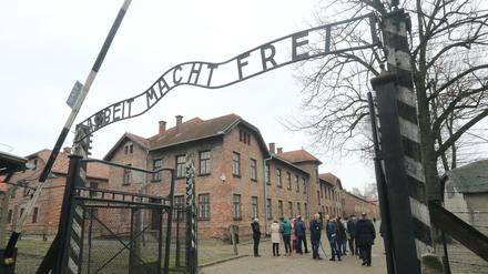 Die Gedenkstätte Ausschwitz-Birkenau. Romanfigur Schneidermann sprang den Nazis nur knapp von der Vernichtungsschaufel.