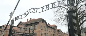 Die Gedenkstätte Ausschwitz-Birkenau. Romanfigur Schneidermann sprang den Nazis nur knapp von der Vernichtungsschaufel.