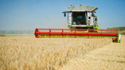 Forst und Land werden in Deutschland zunehmend als Investmentobjekte betrachtet. 