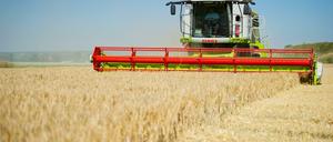 Forst und Land werden in Deutschland zunehmend als Investmentobjekte betrachtet. 
