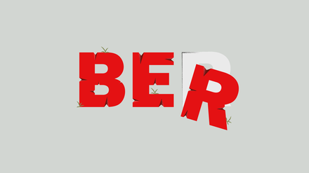 Renovierungsbedürftig: der BER