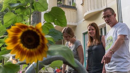 Kata Wegner, Julia Schuppan und Luigi Lauer, die Initiatoren des Baumscheibenfestes der Nachbarschaftsinitiative im Treptower Kungerkiez.