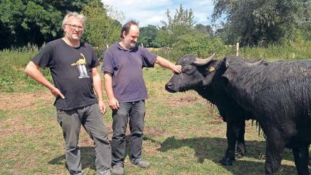 Zu Besuch auf der Weide. Jochen Fritz (links) und Roland von Schmeling halten unter anderem Wasserbüffel. 